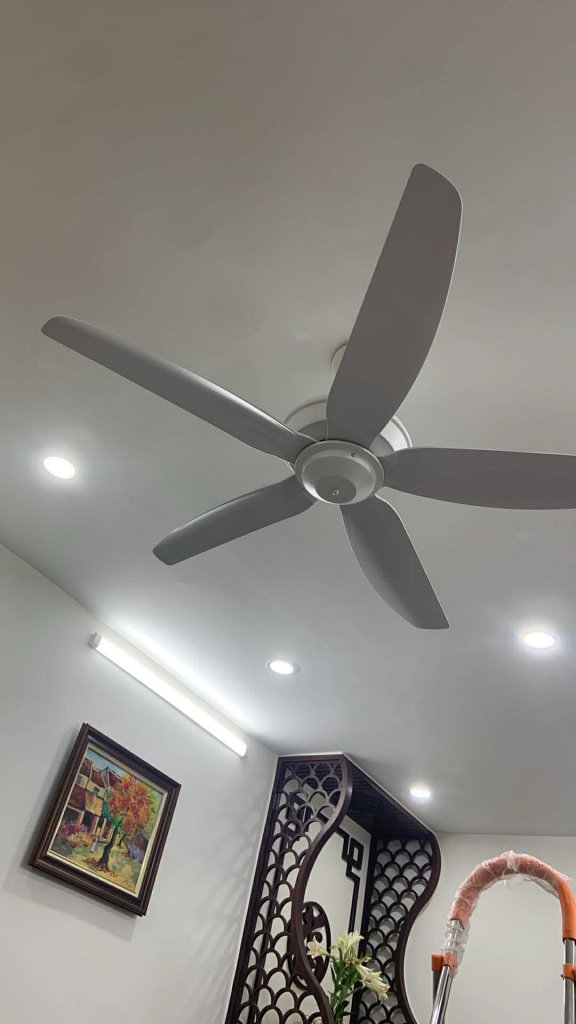 5608 trắng.jpg