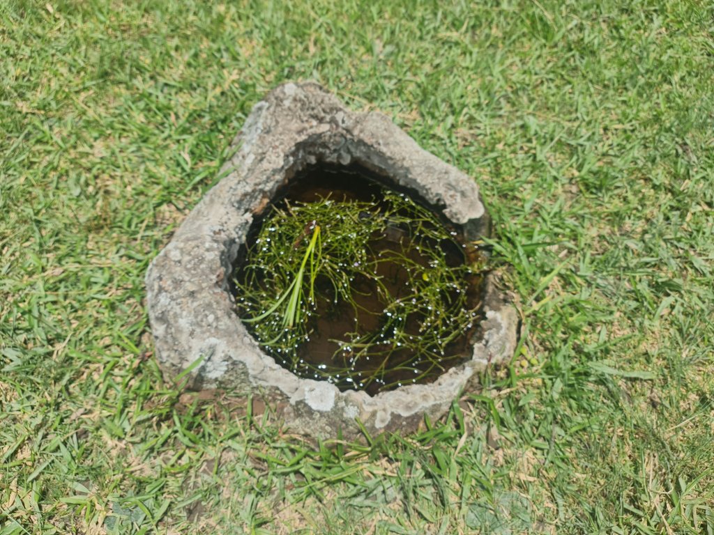 20260725_123021.jpg
