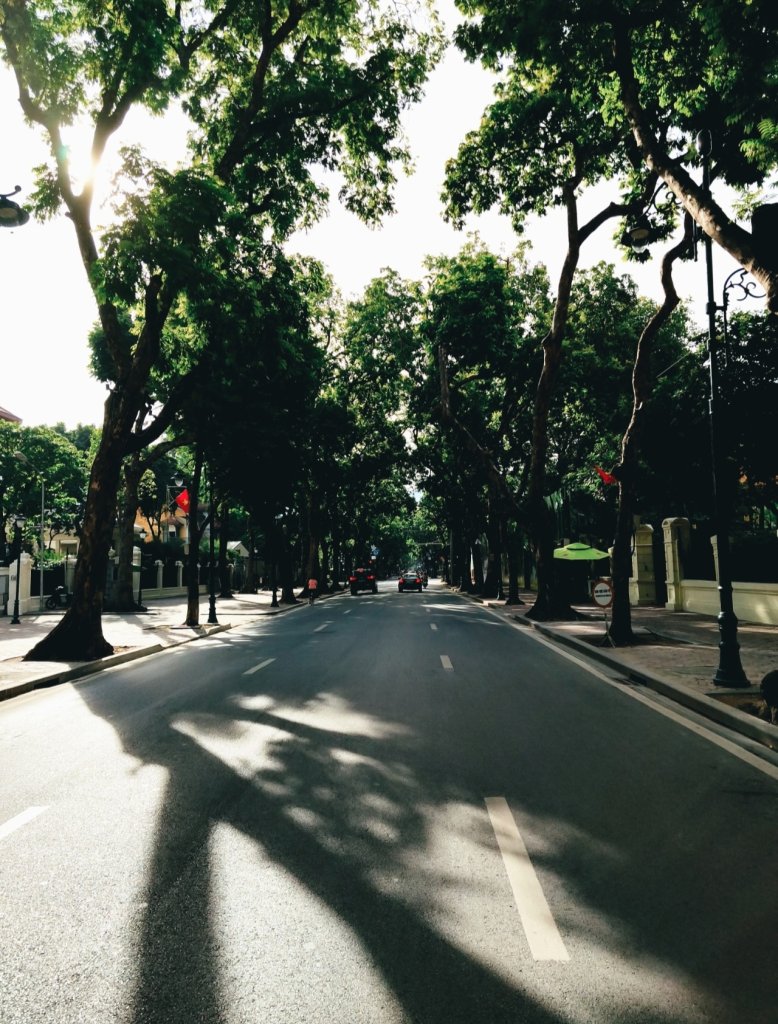6114.jpg