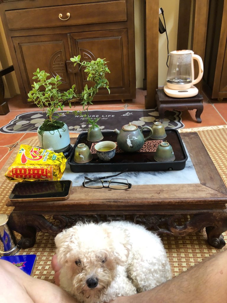 IMG_3204.jpeg