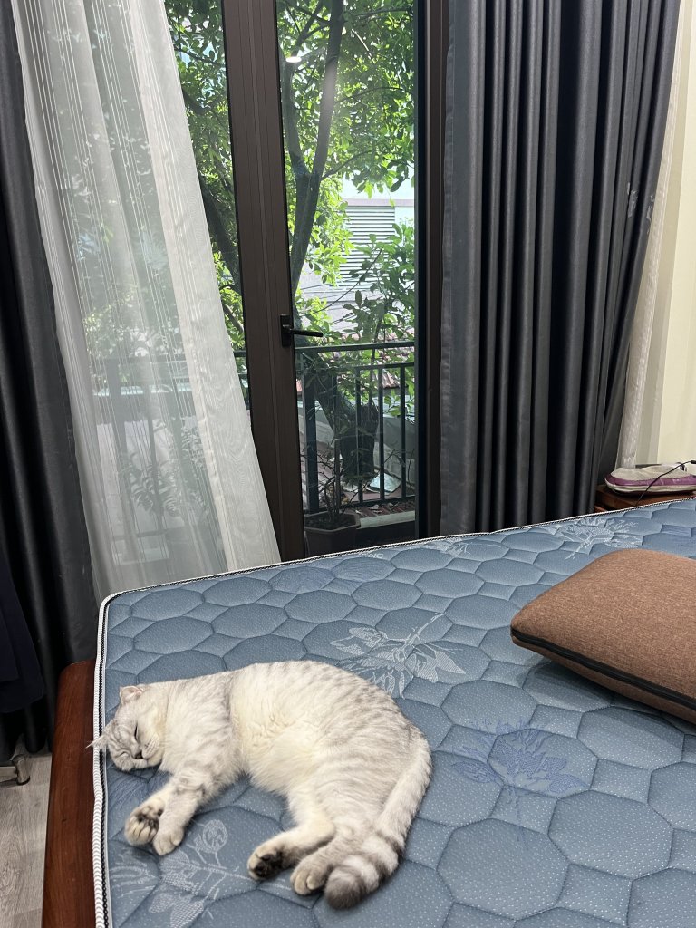 IMG_9846.jpeg