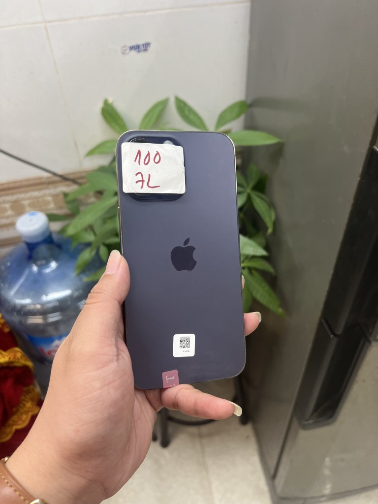 IMG_9577.jpeg