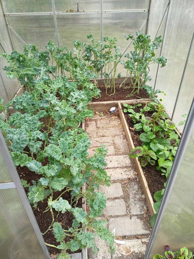 IMG20260801113154.jpg