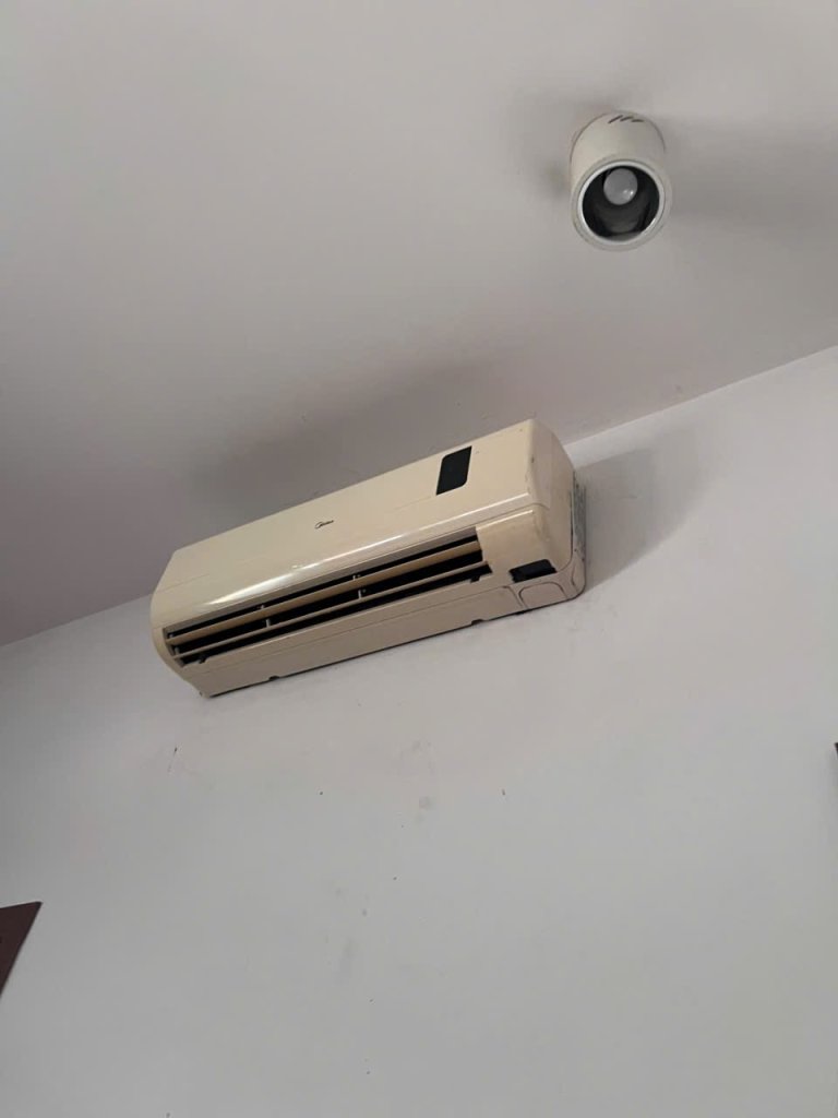IMG_8233.jpeg