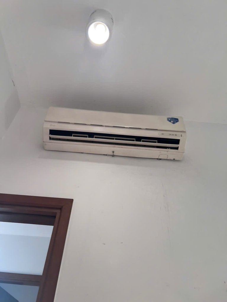IMG_8234.jpeg