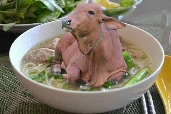Phở bò nguyên con.jpeg