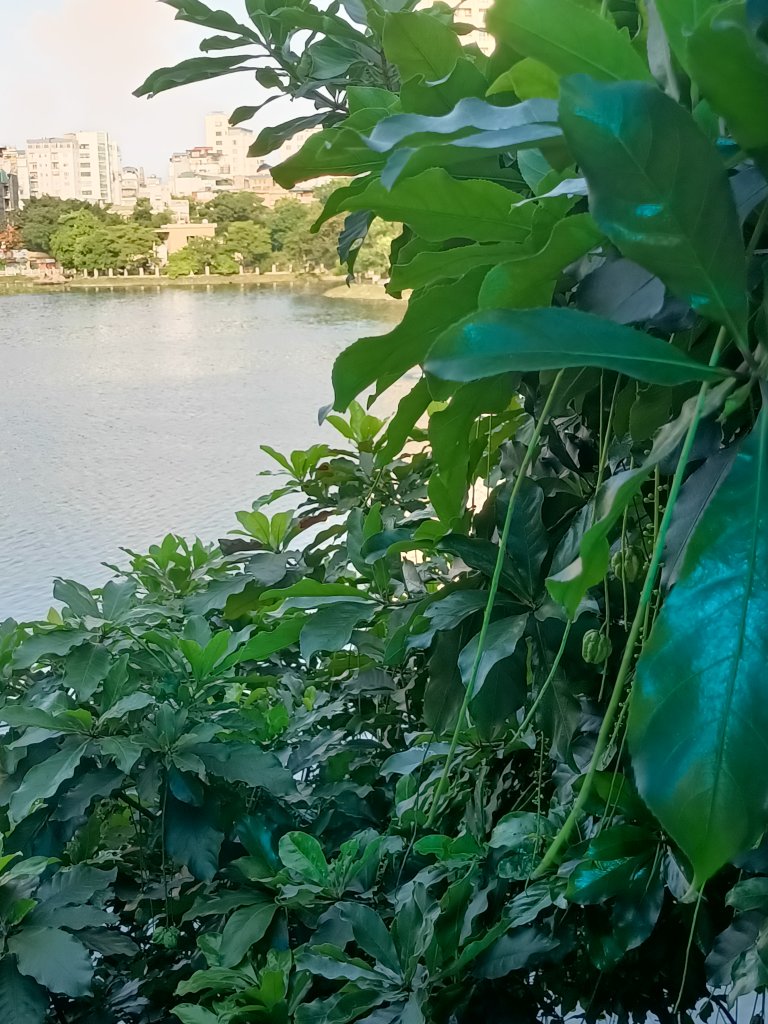IMG20260812165919.jpg