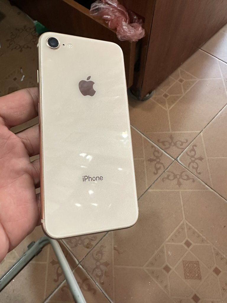 IMG_0089.jpeg