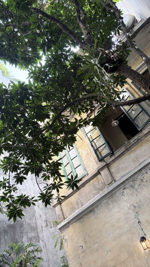 IMG_2609.jpeg