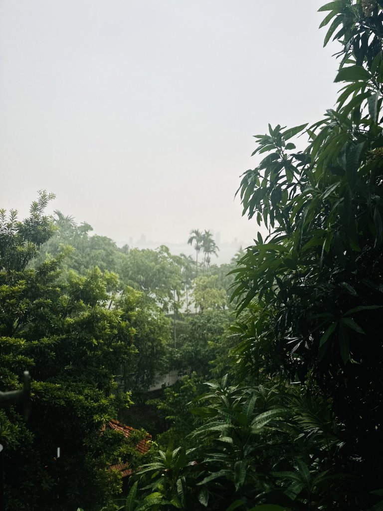 IMG_6415.jpeg