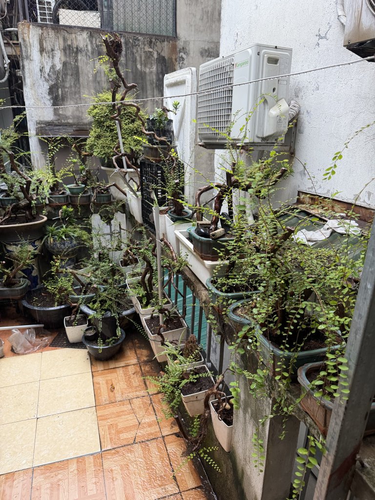 IMG_0355.jpeg