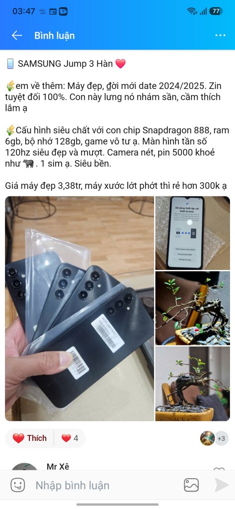 36099.jpg
