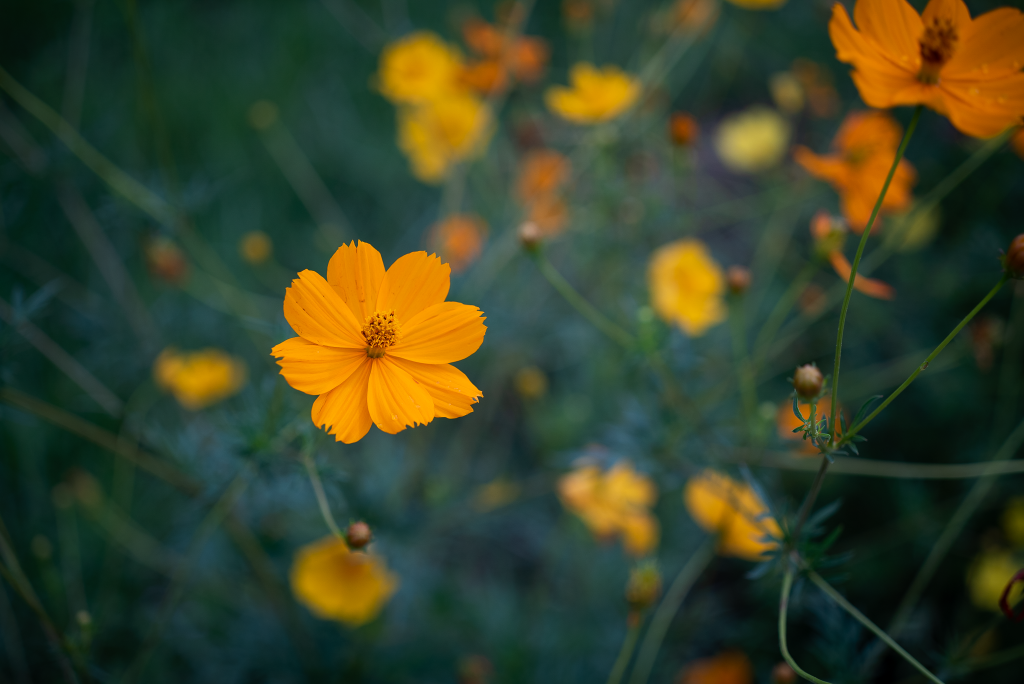 DSC01177.png