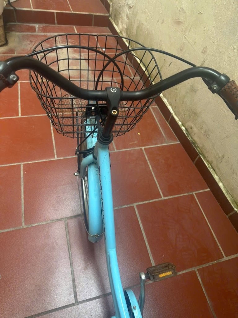 IMG_2817.jpeg
