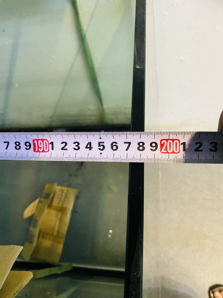 1786784027602_8030756763954996376_8030756763954996376_5674051412d0908c5d191bb9388f26e9.jpg