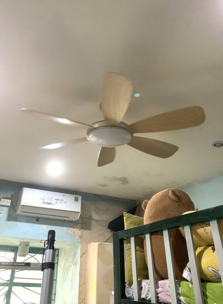 IMG_3672.jpeg