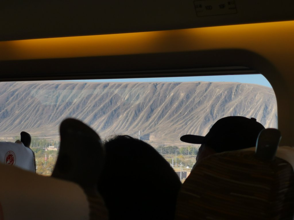 IMG_20251028_095320.jpg
