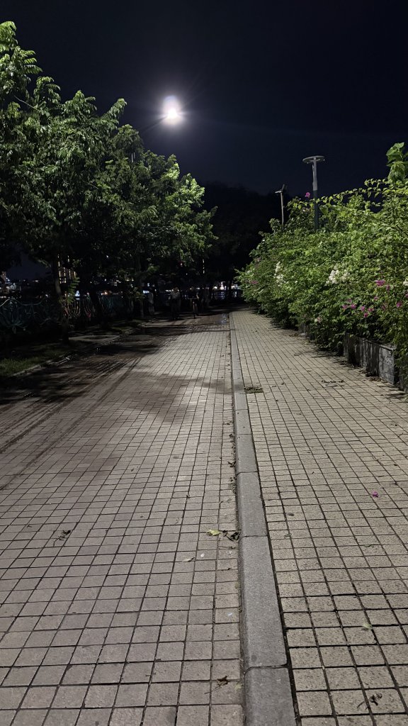 IMG_2715.jpeg