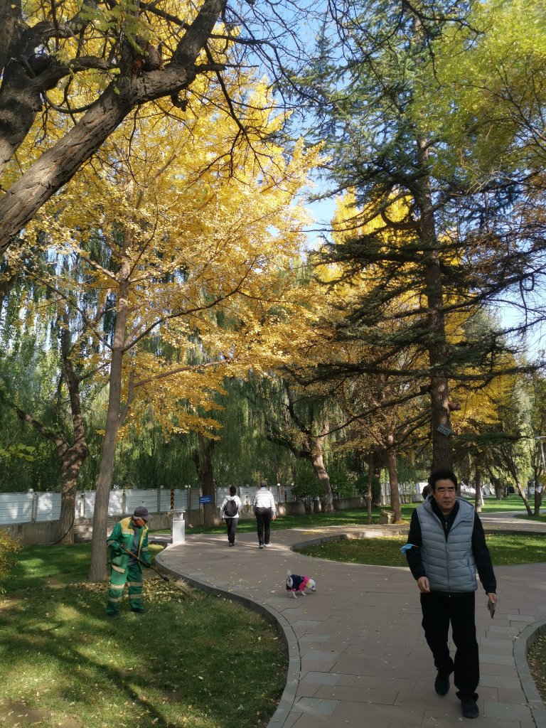 IMG_20251028_160201.jpg