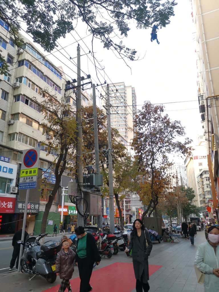 IMG_20251028_172912.jpg