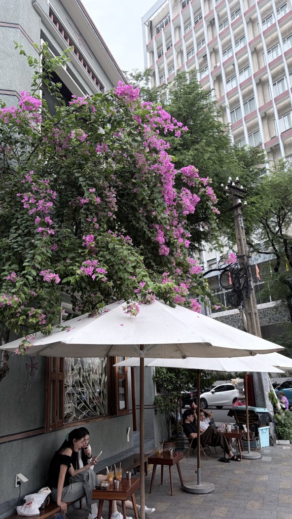 IMG_2858.jpeg