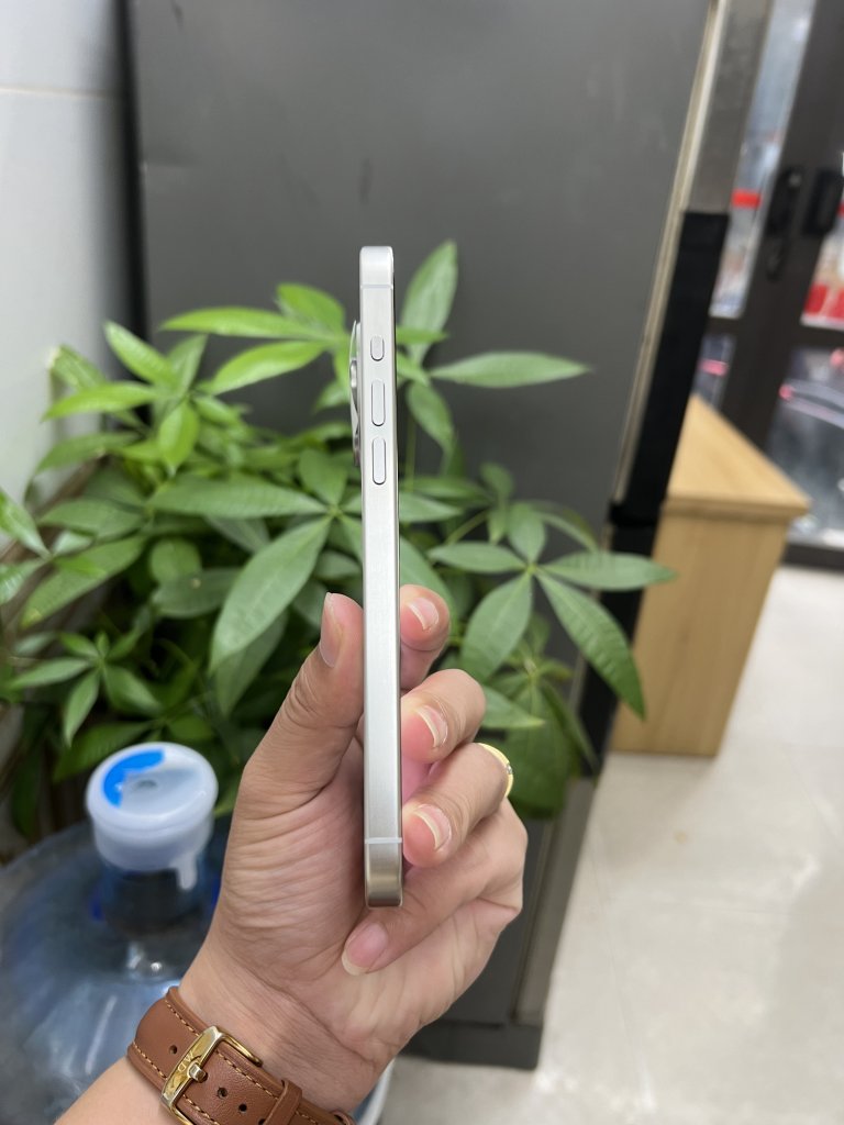 IMG_0365.jpeg