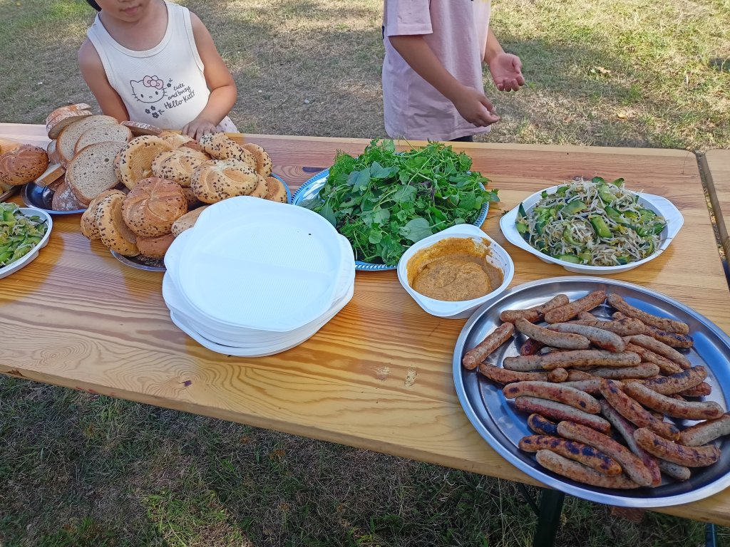 IMG20260823163540.jpg