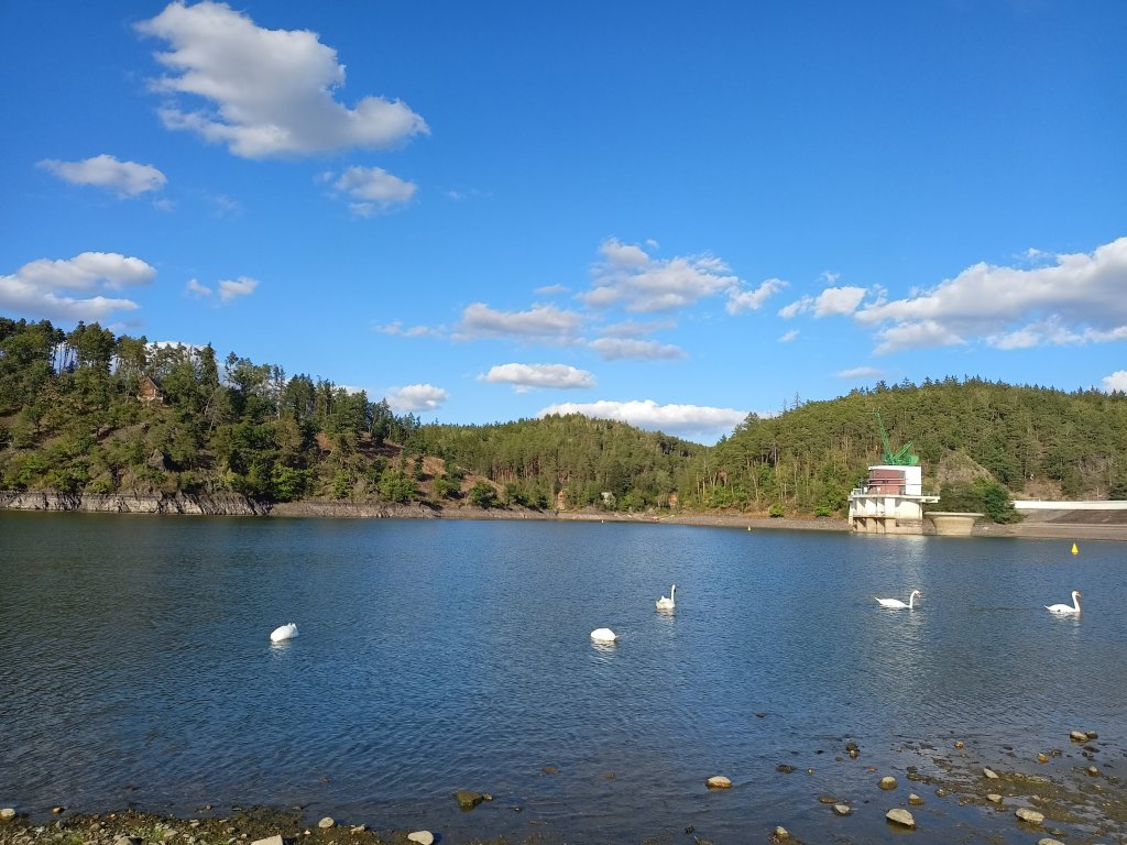 IMG20260823174306.jpg