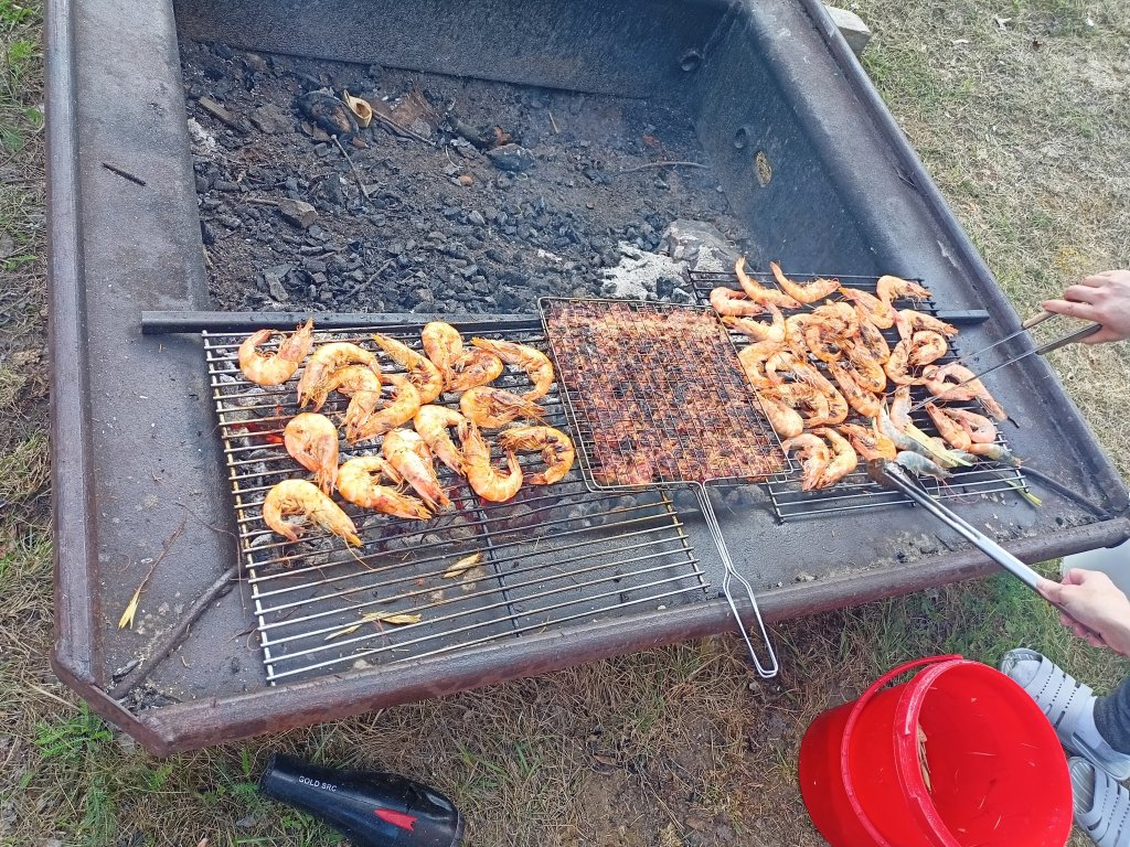 IMG20260823174301.jpg