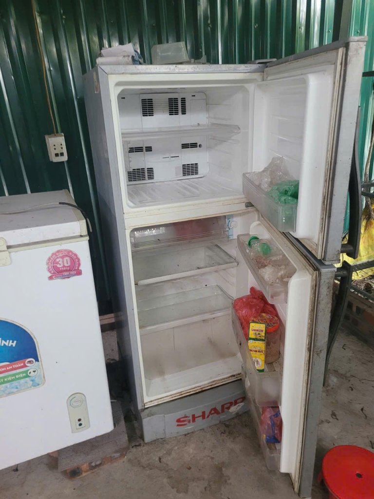 1000021248.jpg