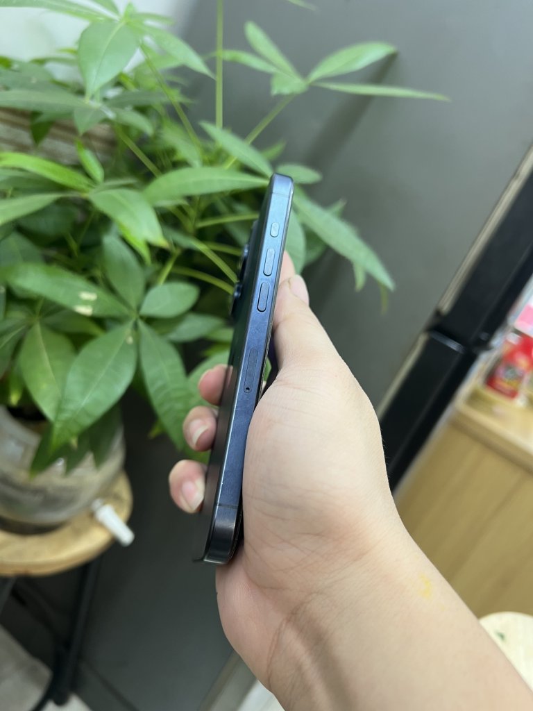 IMG_0484.jpeg