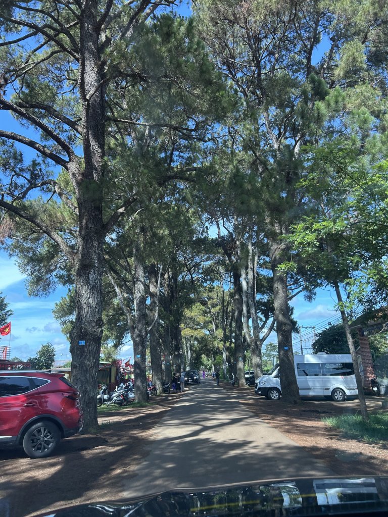 IMG_2379.jpeg