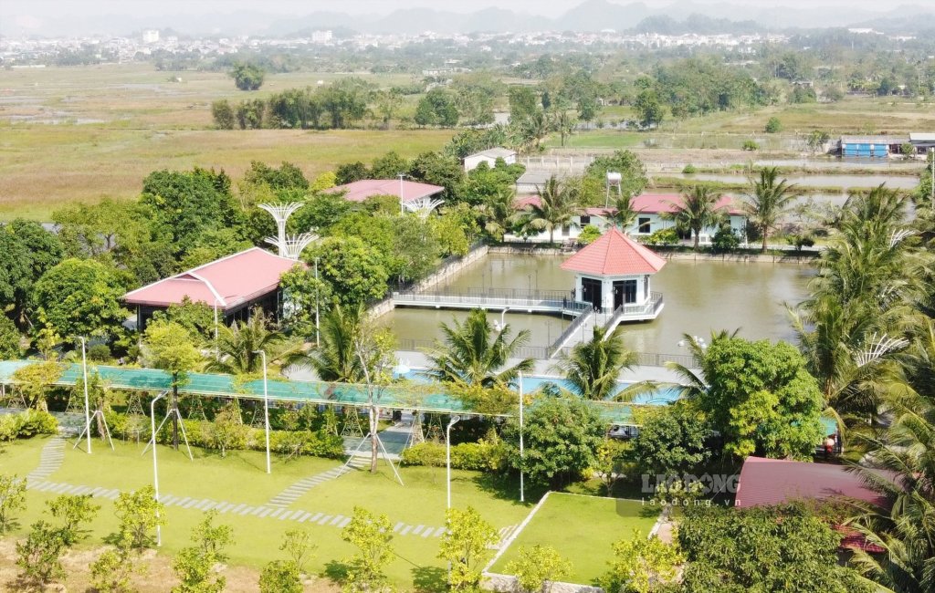 trang-trai-1-05534645.jpg