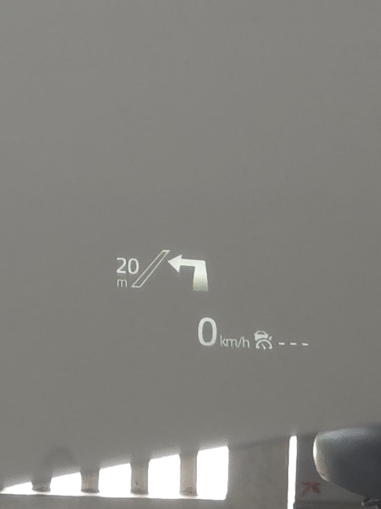 1000035165.jpg