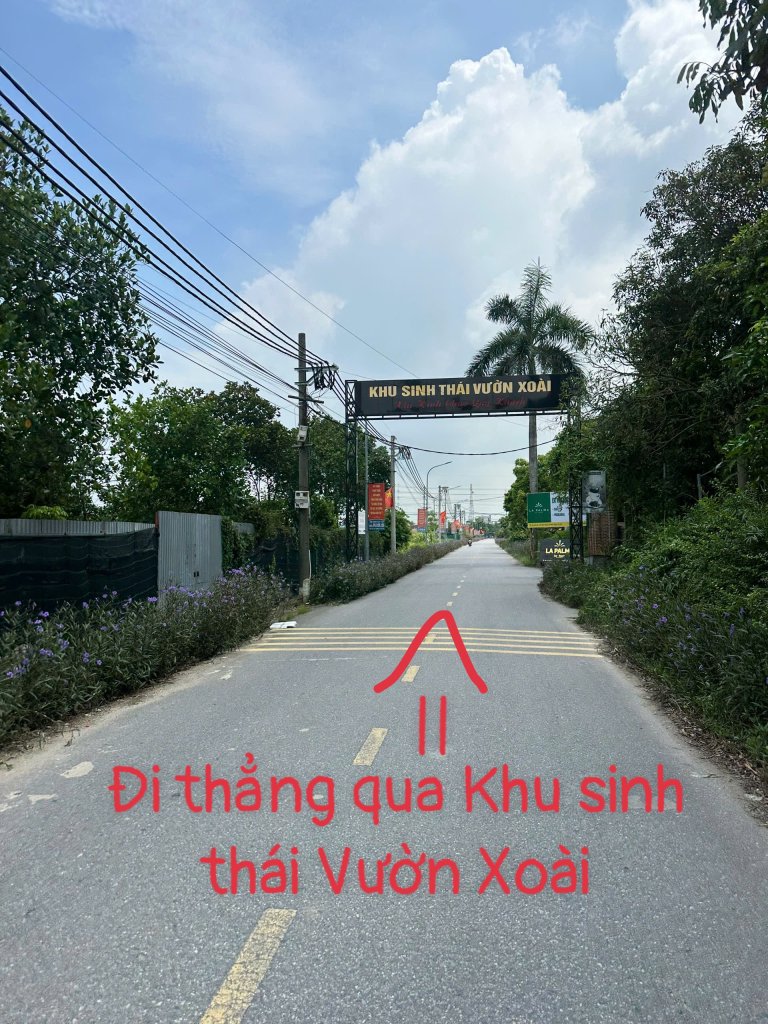 IMG_4029.jpeg