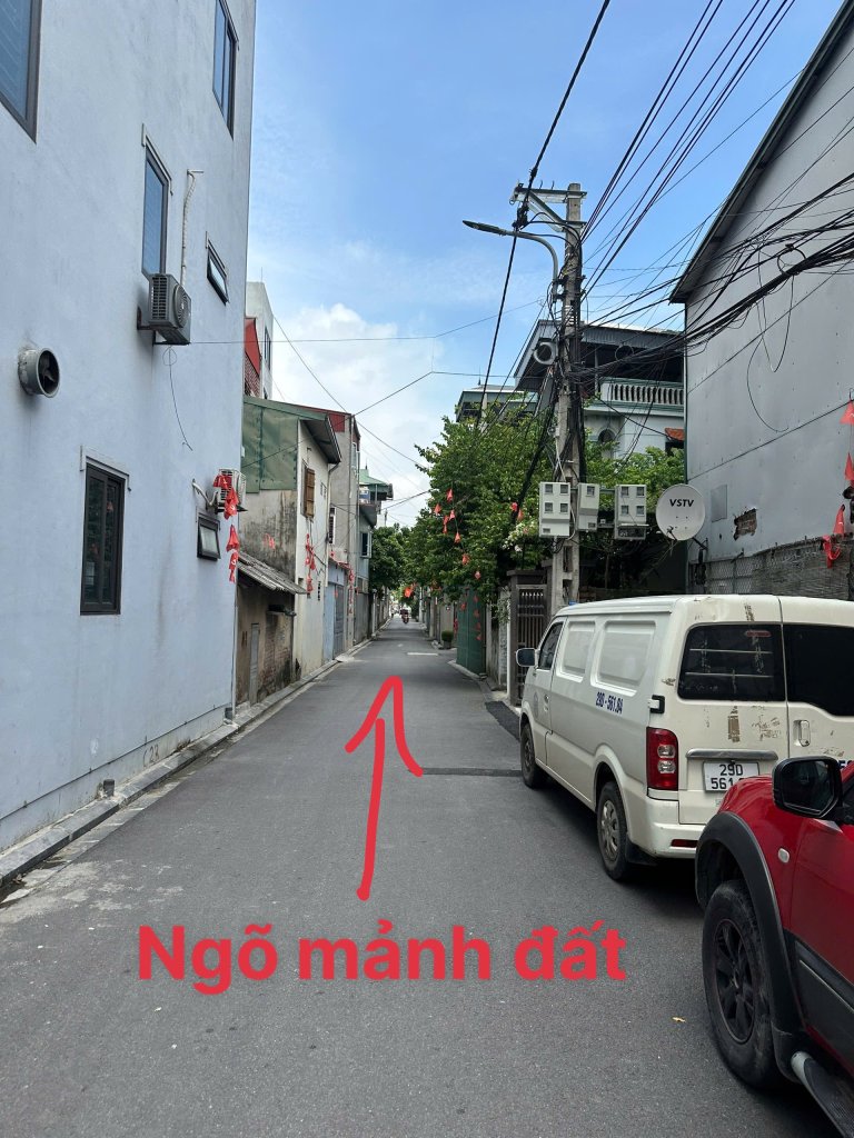 IMG_4035.jpeg