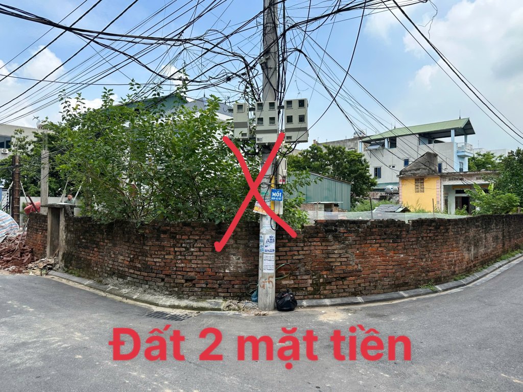 IMG_4036.jpeg