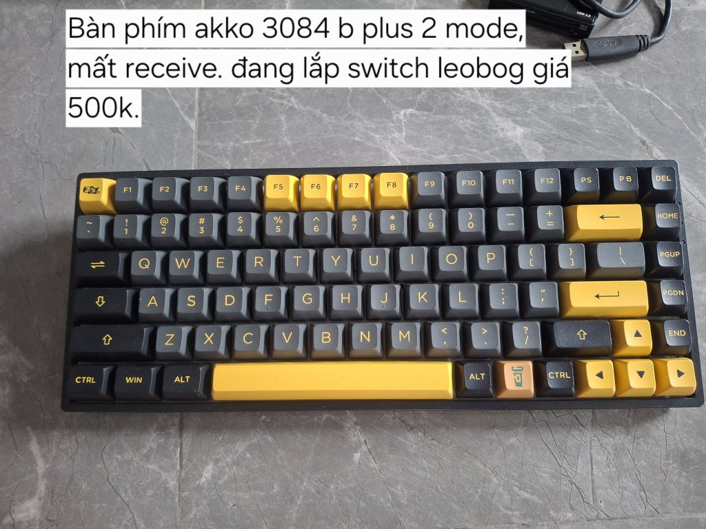 1000066996.jpg
