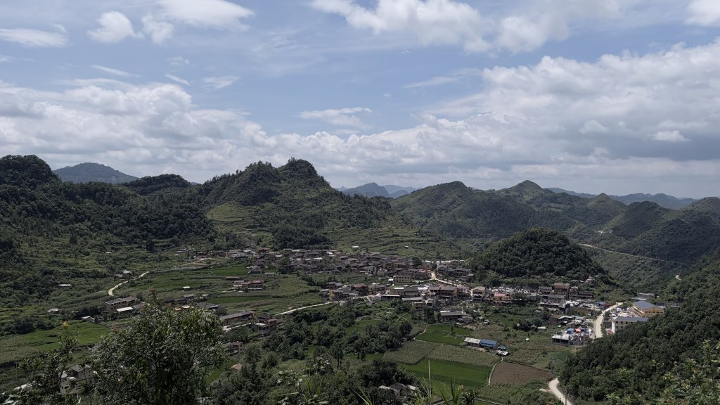 IMG_3519.jpeg