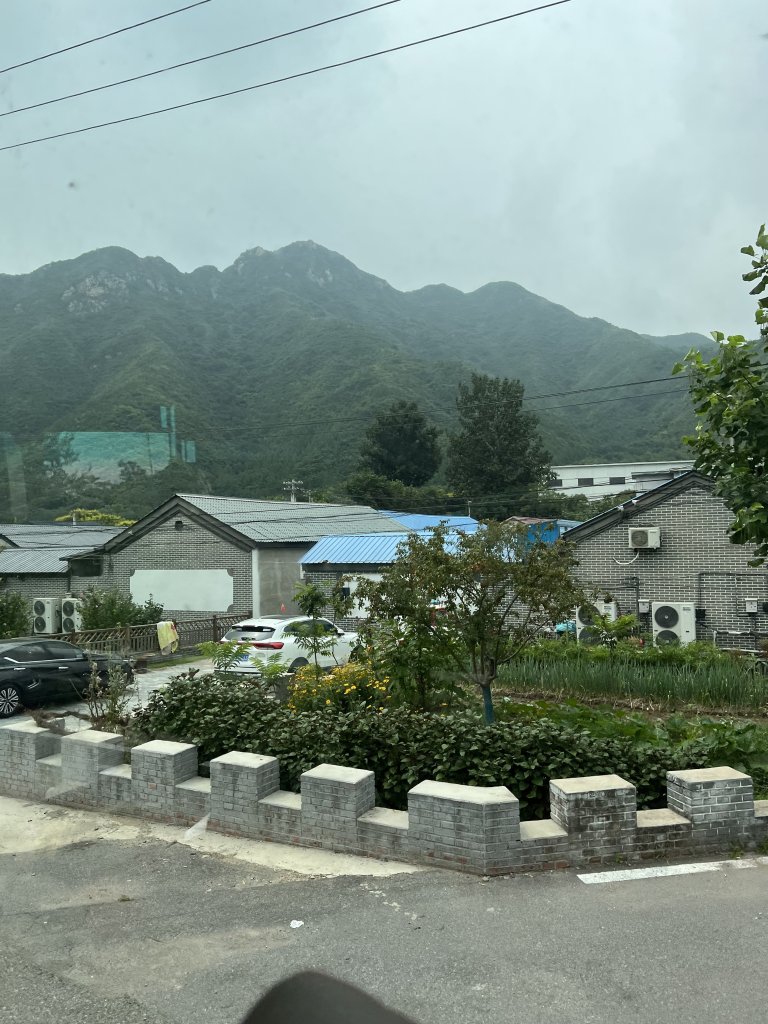 IMG_6250.jpeg