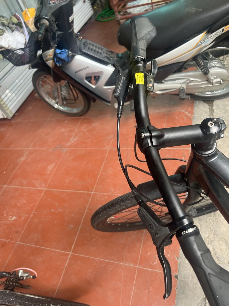 IMG_5052.jpeg