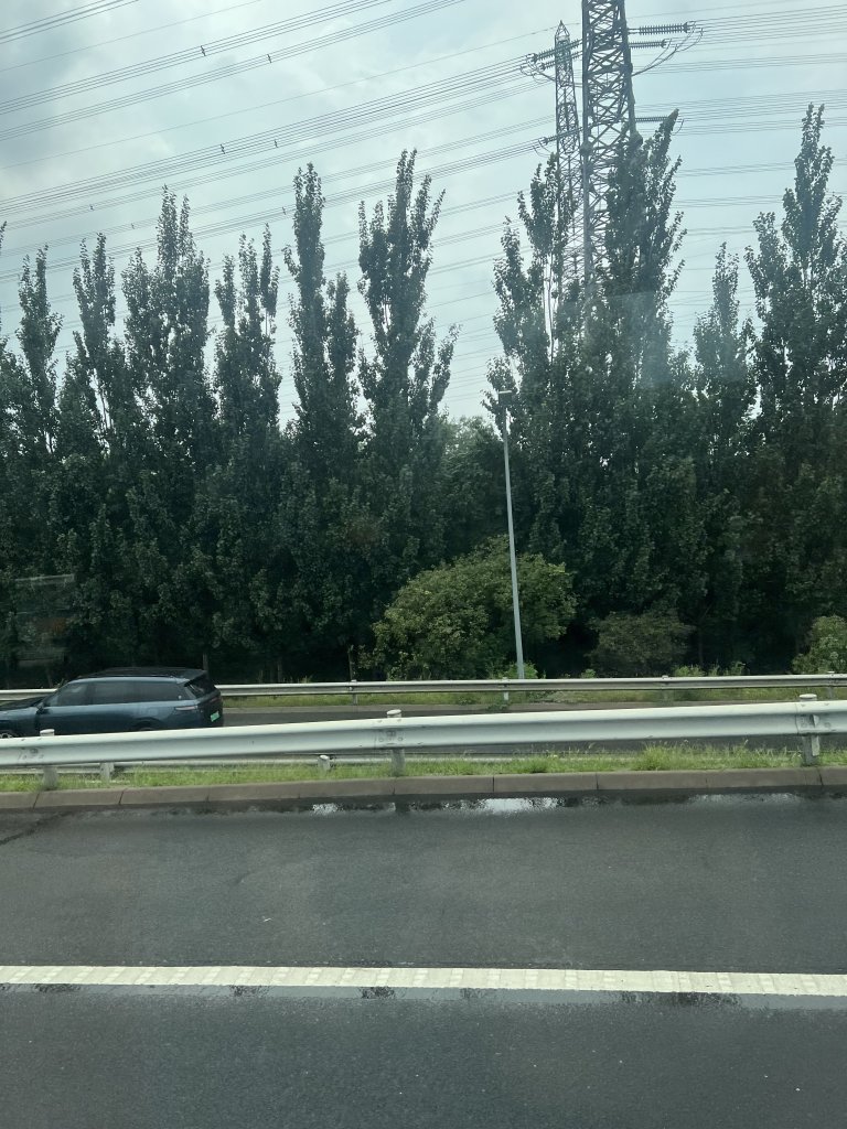 IMG_6326.jpeg
