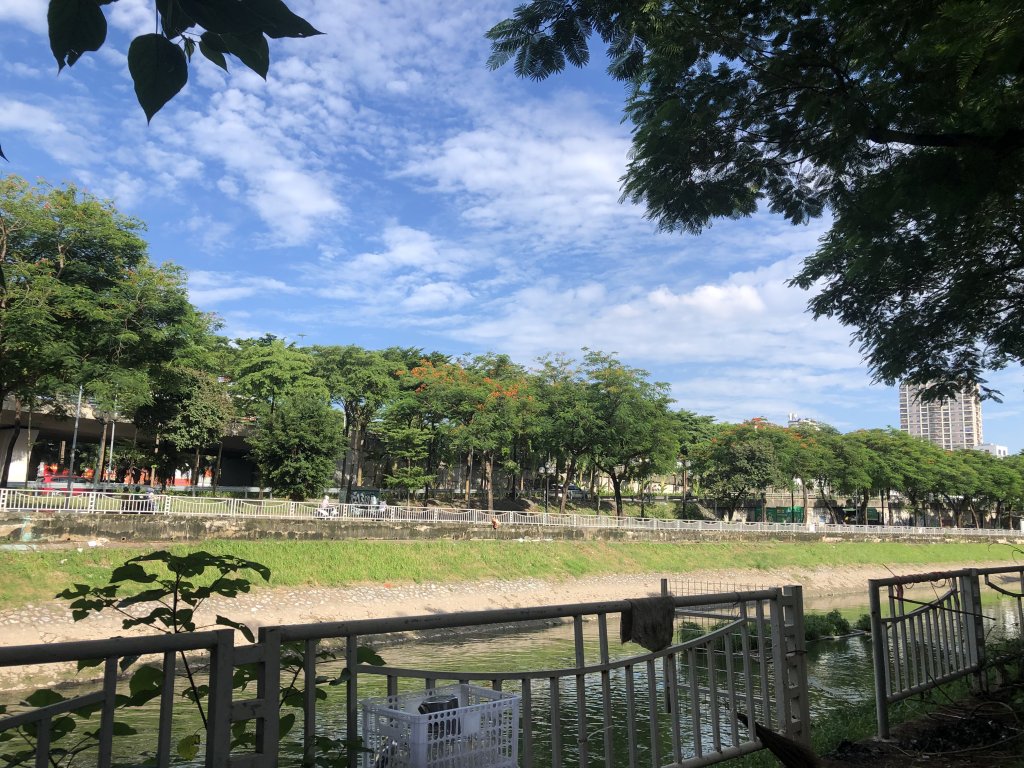 IMG_0111.jpeg