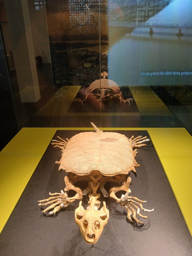 20260425_142022.jpg