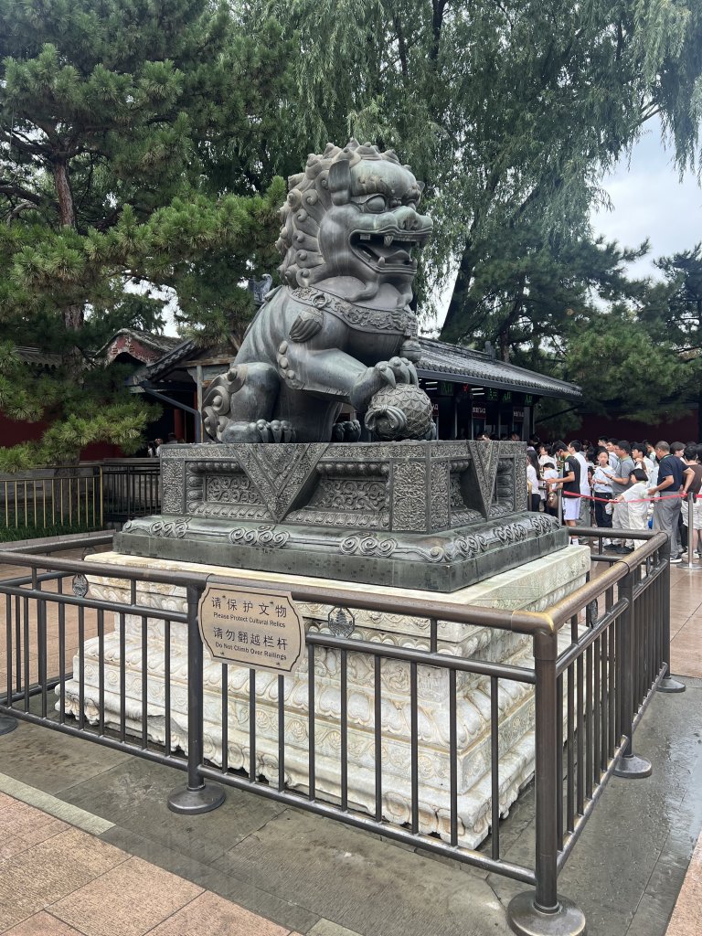 IMG_6339.jpeg