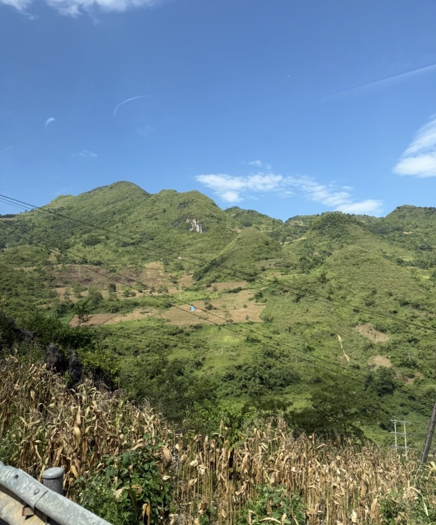 IMG_5166.jpeg