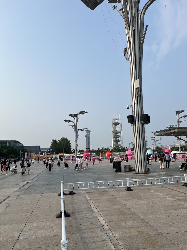 IMG_6500.jpeg