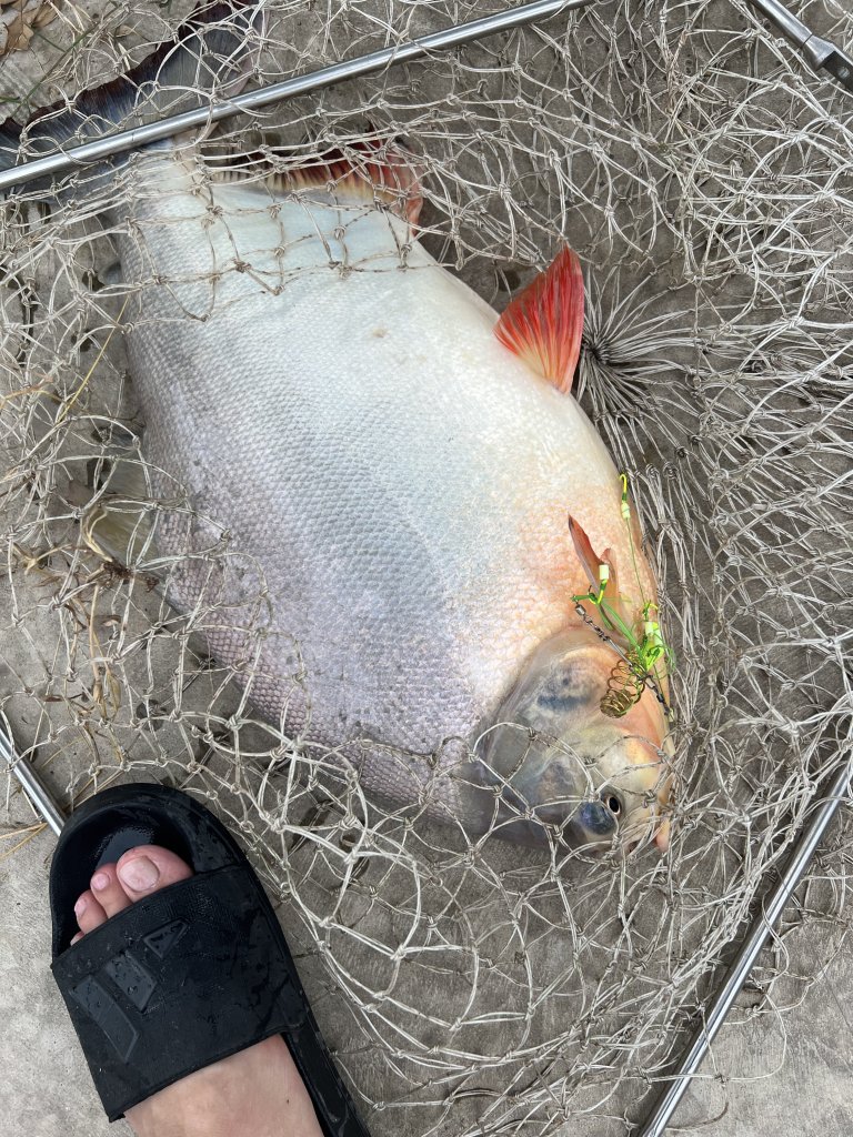 IMG_0244.jpeg