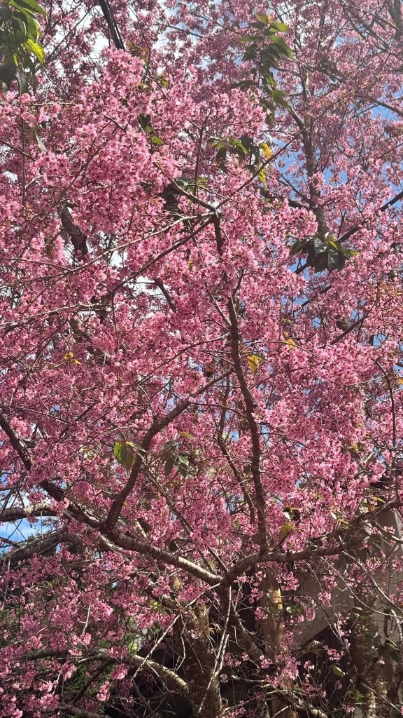 IMG_3628.jpeg