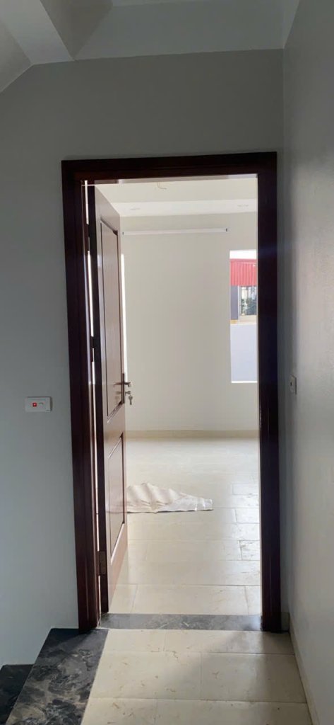 IMG_0126.jpeg